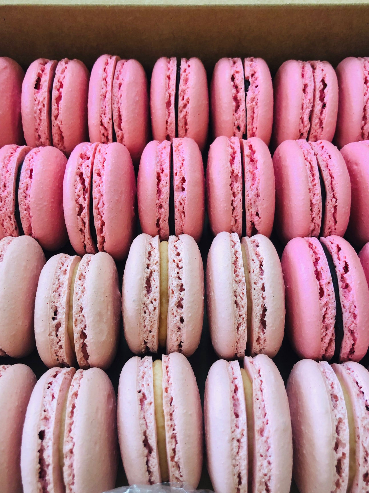 pink french macarons